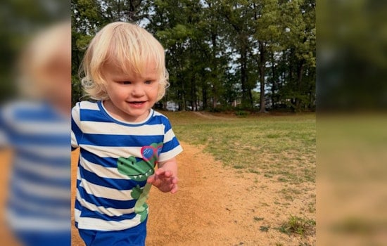 Blackwood Toddler, 3, Lost After Backyard Pool Drowning