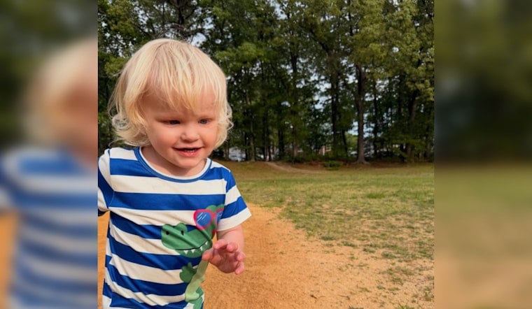 Blackwood Toddler, 3, Lost After Backyard Pool Drowning