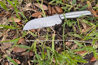 Bodycam Captures Deputies Gunning Down Knife-Wielding Dr. Phillips Woman