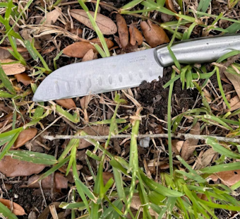 Bodycam Captures Deputies Gunning Down Knife-Wielding Dr. Phillips Woman