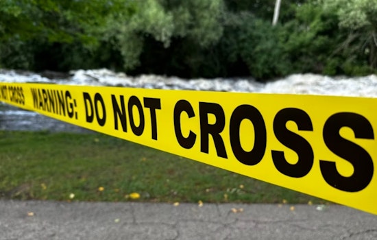 Bones In Cape Coral Canal Blow Open 1985 Missing Woman Case
