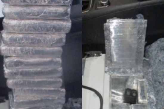 Border Super Sniffer K9 Immo Nails 65-Pound Fentanyl Haul in San Diego