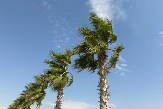 Breezy Trades And Sneaky King Tides Put Honolulu On Edge
