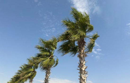 Breezy Trades And Sneaky King Tides Put Honolulu On Edge
