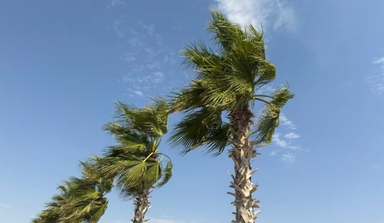 Breezy Trades And Sneaky King Tides Put Honolulu On Edge