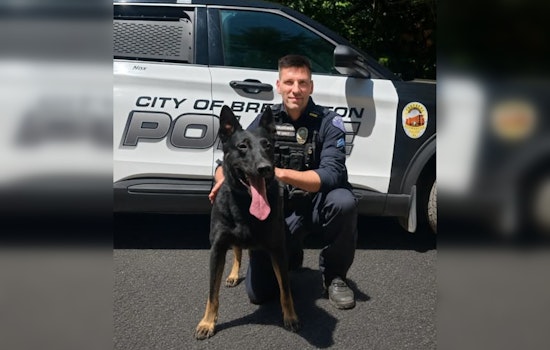 Bremerton Bus Stop Turns Chaos Zone in Knife-Wielding SWAT Standoff