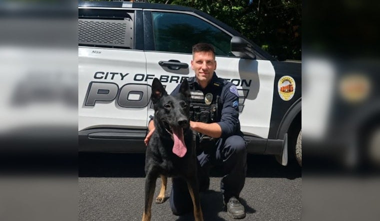 Bremerton Bus Stop Turns Chaos Zone in Knife-Wielding SWAT Standoff