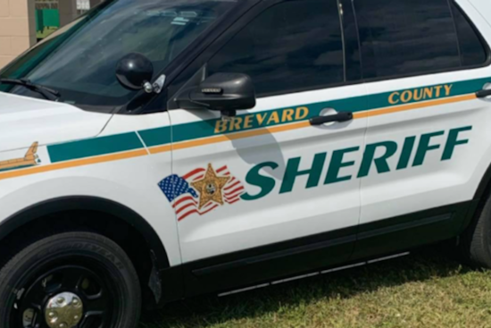 Brevard Deputy Under Fire After Patrol Car Hits Dog and Drives Off, Sheriff Says