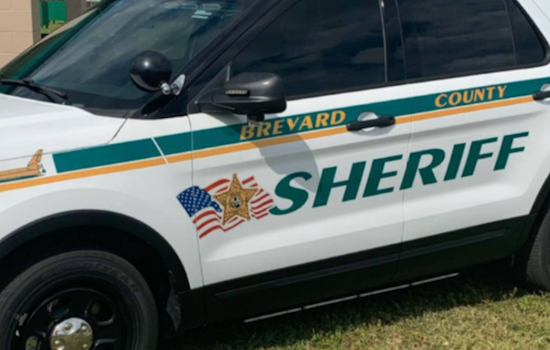 Brevard Deputy Under Fire After Patrol Car Hits Dog and Drives Off, Sheriff Says