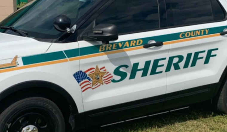 Brevard Deputy Under Fire After Patrol Car Hits Dog and Drives Off, Sheriff Says
