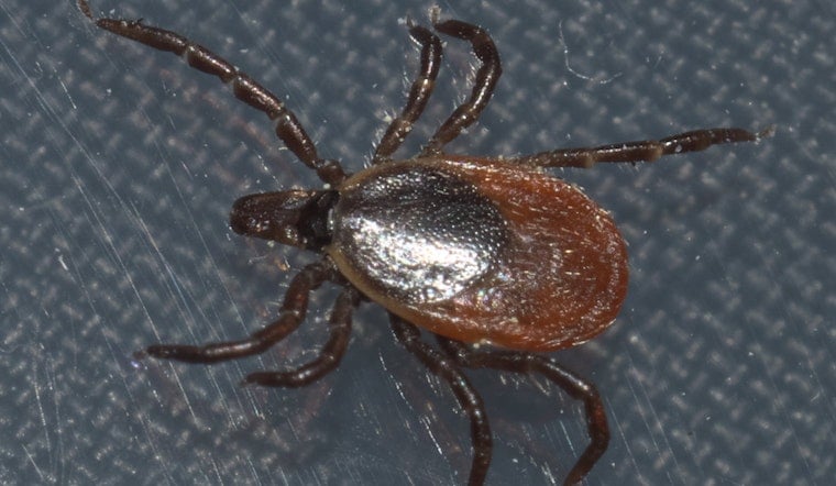 Brewer Widow’s Tick Nightmare: Rare Virus Stole Her Husband’s Voice, Sight And Life