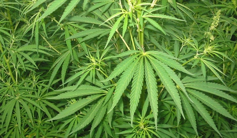 Bristow Weed Blitz: Cops And AG Hit Dispensary, Corner Store And House On Same Block