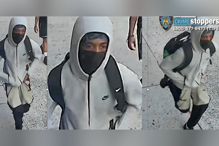Bronx Cops Hunt Slasher After University Avenue Rush‑Hour Attack