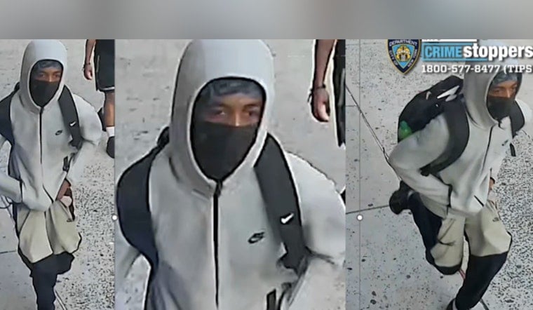 Bronx Cops Hunt Slasher After University Avenue Rush‑Hour Attack