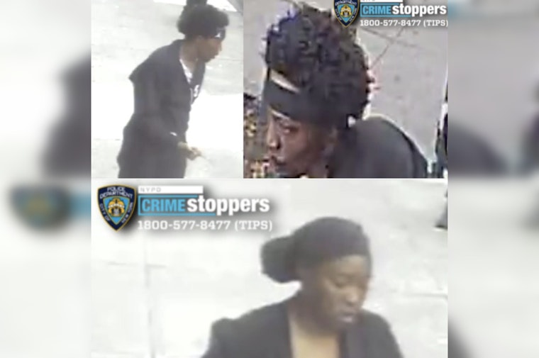 Bronx Daylight Ambush: Duo Hunted After Boston Road Stabbing