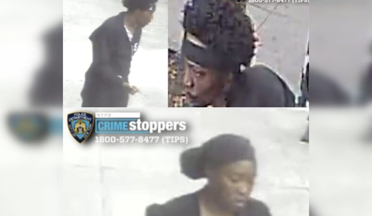 Bronx Daylight Ambush: Duo Hunted After Boston Road Stabbing
