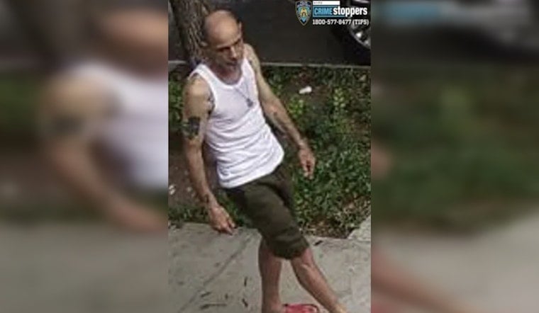 Bronx Hit-and-Run Horror: 4-Year-Old Girl Struck Near Longfellow Playground