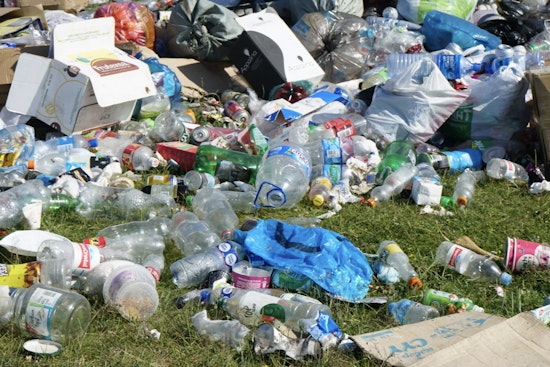 Bronx NYCHA Tenants Fume As Rat-Infested Trash Yard Swallows Parking Lot