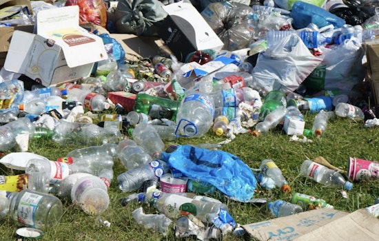 Bronx NYCHA Tenants Fume As Rat-Infested Trash Yard Swallows Parking Lot