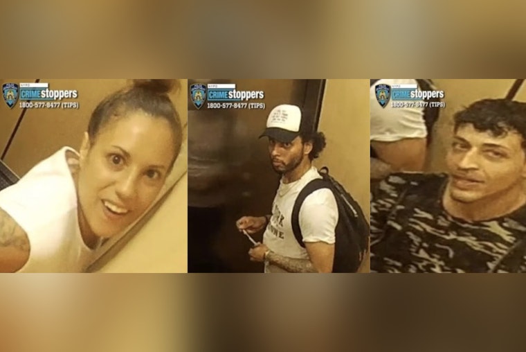 Bronx Perps Trail 73-Year-Old Home, Rip Ring Camera Off Wall And Bolt