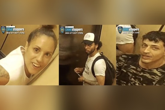 Bronx Perps Trail 73-Year-Old Home, Rip Ring Camera Off Wall And Bolt