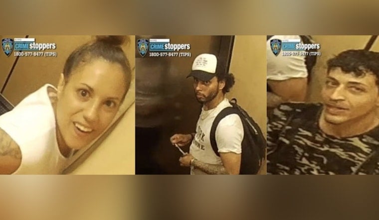 Bronx Perps Trail 73-Year-Old Home, Rip Ring Camera Off Wall And Bolt