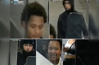 Bronx Teen Slashed With Machete Outside Grand Concourse As Mom Puts Med School On Hold