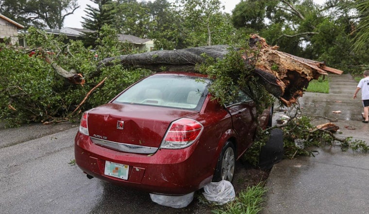 Bronx Tree Topples Onto Two Cars, Sends Two To Hospital