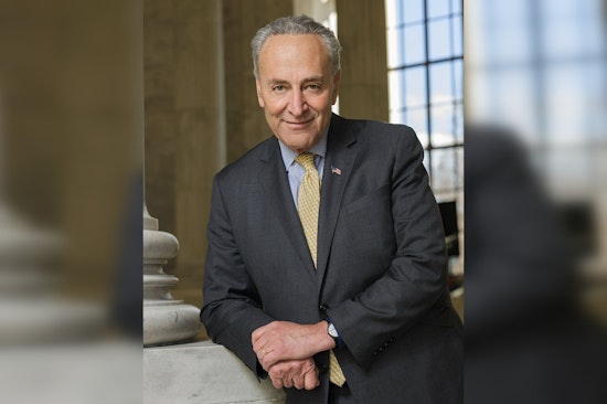 Brooklyn Lefties Blitz Schumer, Jeffries With High-Stakes Abolish ICE Demand