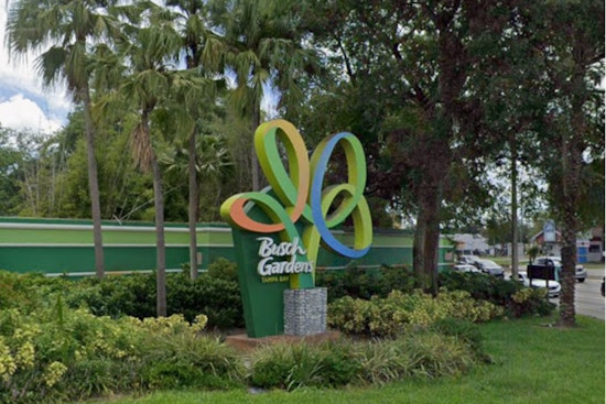 Busch Gardens To Unleash Lion And Hyena Ridge In Tampa