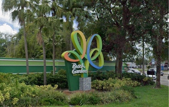 Busch Gardens To Unleash Lion And Hyena Ridge In Tampa