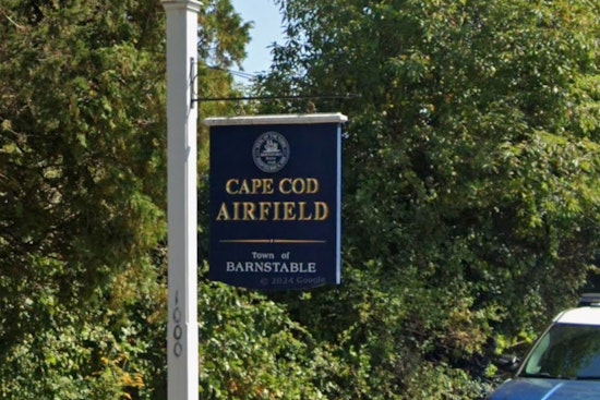 Cape Cod Skydiver Left Hanging As Rescuer Scrambles Up Tree