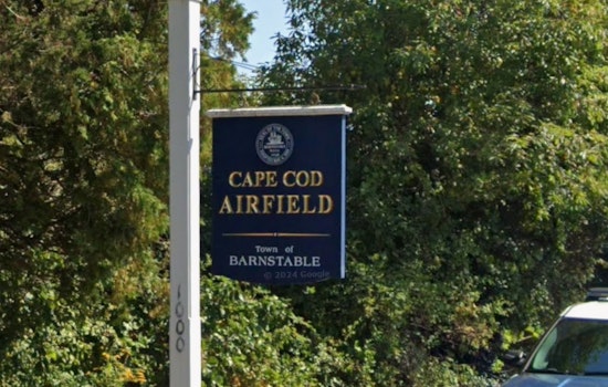 Cape Cod Skydiver Left Hanging As Rescuer Scrambles Up Tree