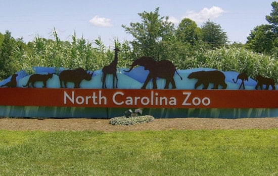 Cash Finally Uncages N.C. Zoo's Asia Expansion, but Staff Shortage Keeps Gates Shut