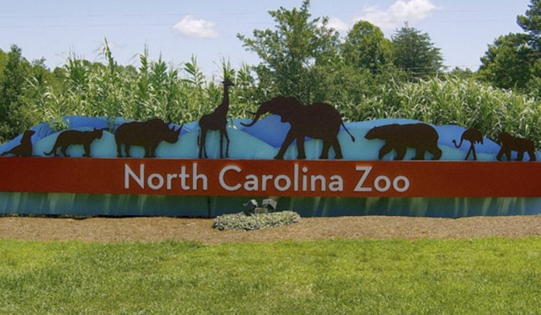 Cash Finally Uncages N.C. Zoo's Asia Expansion, but Staff Shortage Keeps Gates Shut