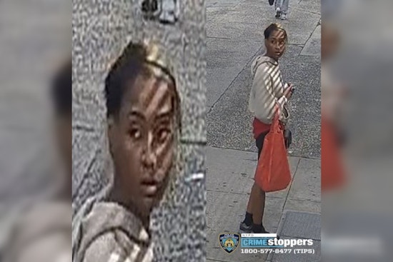 Castle Hill Ave Knife Crook Botches Bronx Purse Snatch