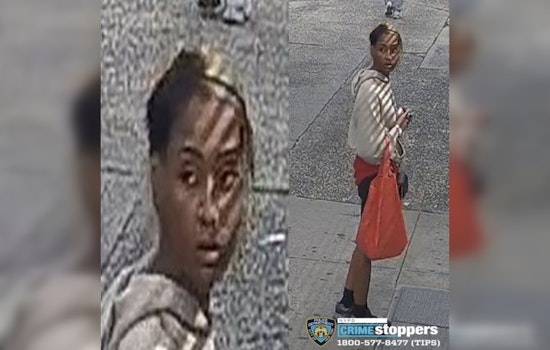Castle Hill Ave Knife Crook Botches Bronx Purse Snatch