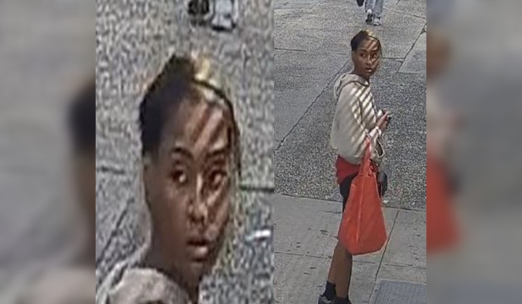 Castle Hill Ave Knife Crook Botches Bronx Purse Snatch