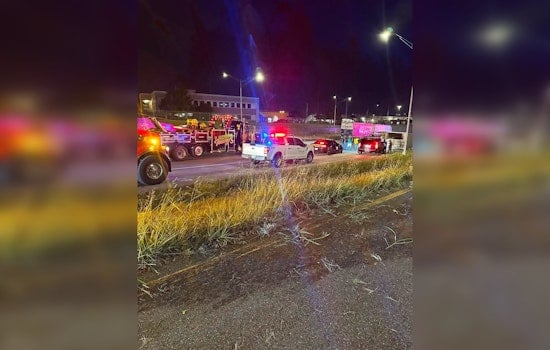 Cattle Chaos Turns I-40 Into Slow-Moving Stampede Near Midwest City
