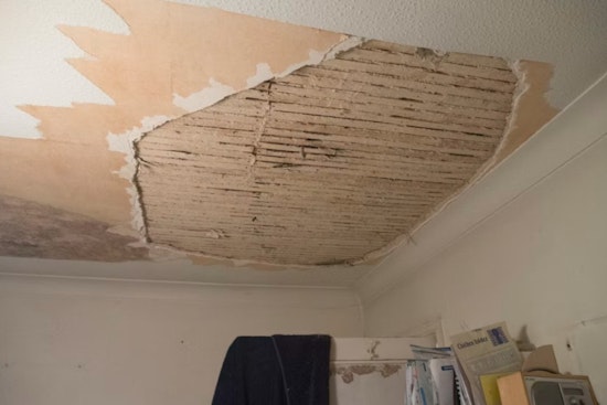 Ceiling Crashes On Bedford Park Tenant as Rats and Mold Move In