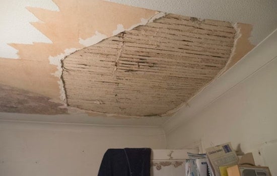 Ceiling Crashes On Bedford Park Tenant as Rats and Mold Move In