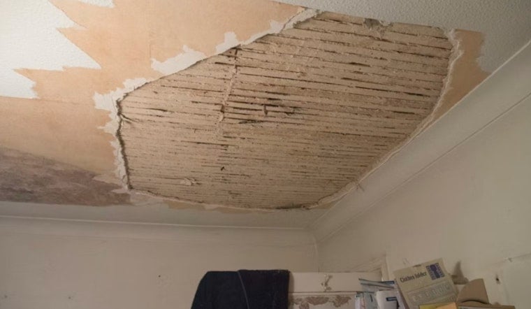 Ceiling Crashes On Bedford Park Tenant as Rats and Mold Move In