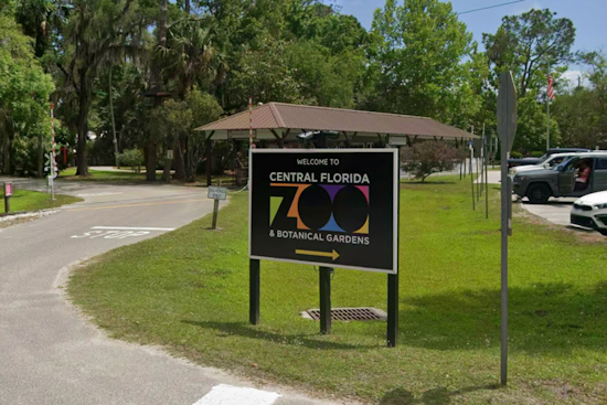 Central Florida Zoo Lets Kids 12 And Under In Free All August