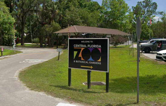 Central Florida Zoo Lets Kids 12 And Under In Free All August