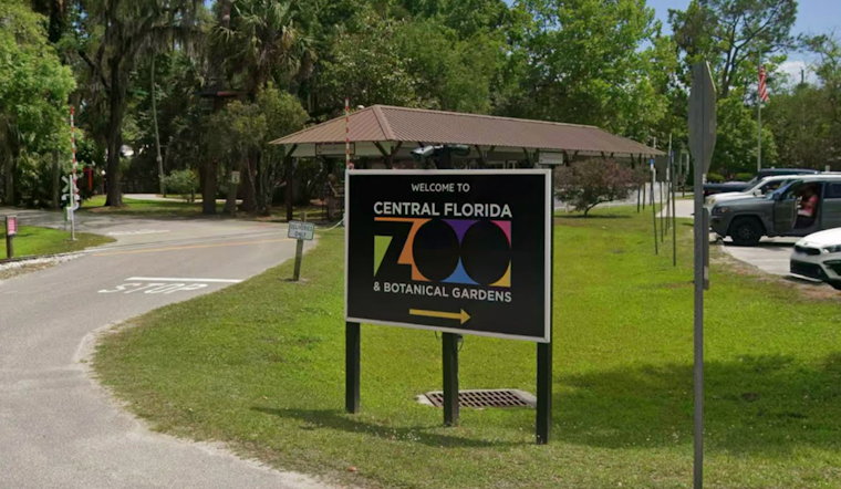 Central Florida Zoo Lets Kids 12 And Under In Free All August