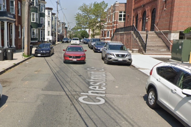 Chelsea Police Seize Dog After Chestnut Street Incident