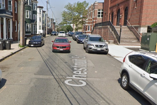 Chelsea Police Seize Dog After Chestnut Street Incident