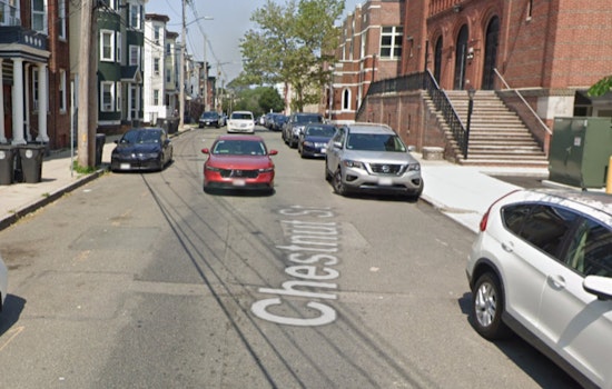 Chelsea Police Seize Dog After Chestnut Street Incident