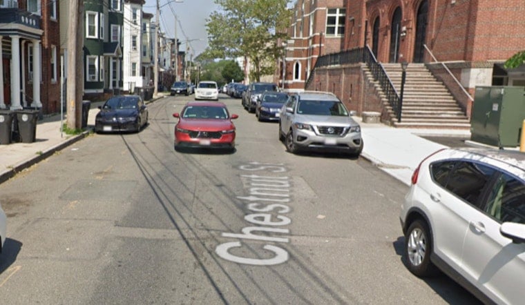 Chelsea Police Seize Dog After Chestnut Street Incident