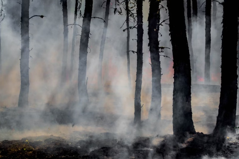 Chestnut Hill Fire Help Center Rolls Out Real-Time Wildfire Map As 2026 Blaze Season Boils Over